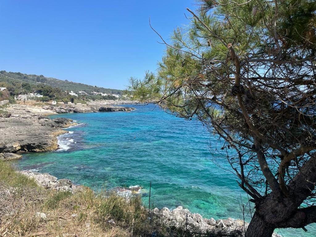 A Quai A Chiara Villa Andrano Buitenkant foto